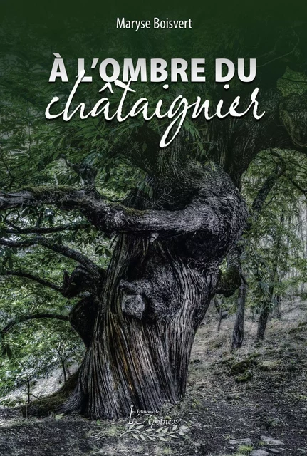 À l'ombre du châtaignier - Maryse Boisvert - Distribulivre