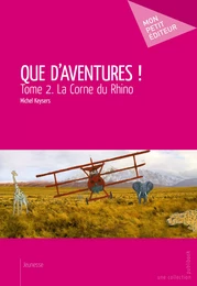 Que d'aventures ! - Tome 2