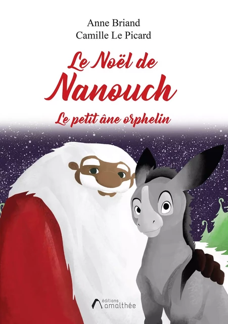 Le Noël de Nanouch - Anne Briand, Camille Le Picard - Éditions Amalthée