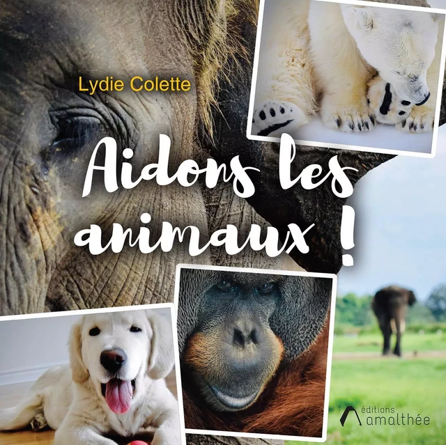 Aidons les animaux ! - Lydie Colette - Éditions Amalthée