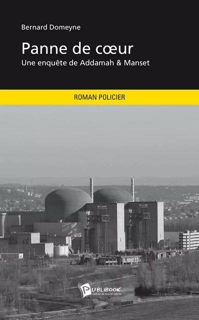 Panne de cœur - Bernard Domeyne - Publibook