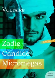 Zadig, Candide, Micromégas