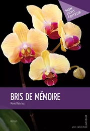 Bris de mémoire