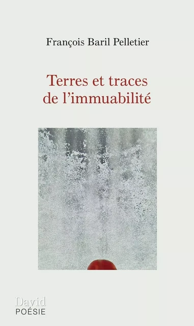 Terres et traces de l’immuabilité - François Baril Pelletier - Éditions David