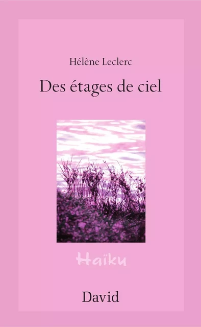 Des étages de ciel - Hélène Leclerc - Éditions David