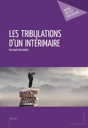 Les Tribulations d'un intérimaire