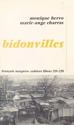 Bidonvilles : l'enlisement