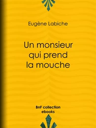 Un monsieur qui prend la mouche