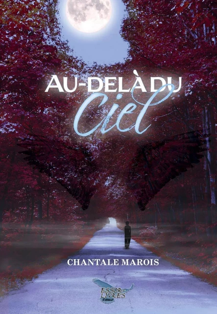 Au-delà du ciel - Chantale Marois - Distribulivre