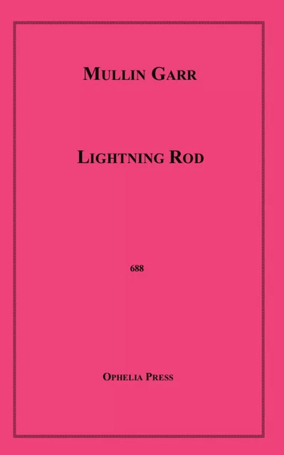 Lightning Rod - Mullin Garr - Disruptive Publishing