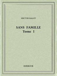 Sans famille I