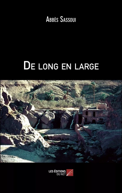 De long en large - Abbès Sassoui - Les Éditions du Net