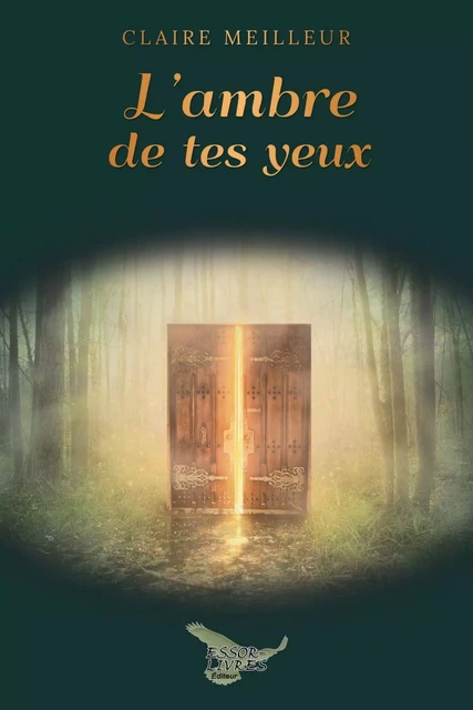 L'ambre de tes yeux - Claire Meilleur - Distribulivre