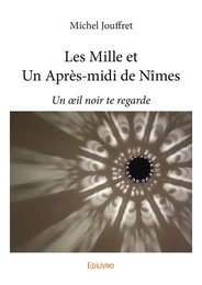 Les Mille et Un Après-midi de Nîmes