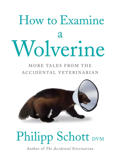 How to Examine a Wolverine - Philipp DVM Schott - ECW Press