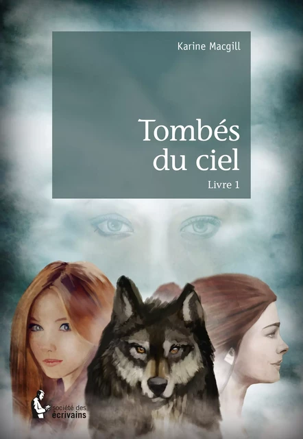 Tombés du ciel - Livre 1 - Karine Macgill - Société des écrivains