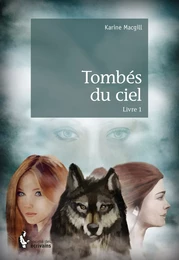 Tombés du ciel - Livre 1