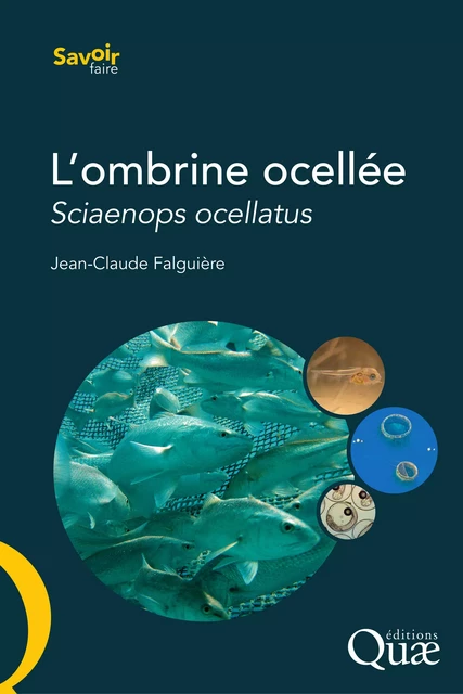 L'ombrine ocellée - Jean-Claude Falguiere, Denis Covès - Quae