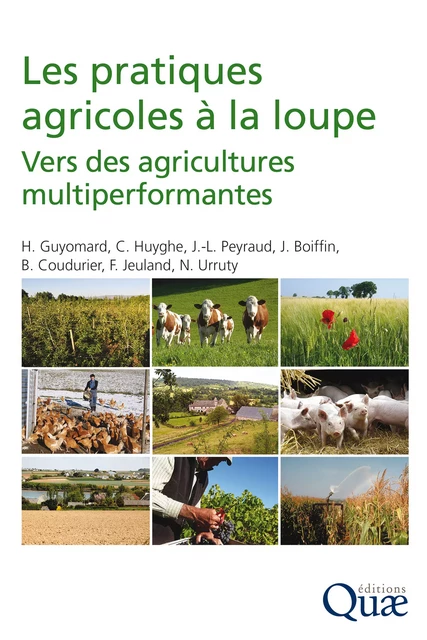 Les pratiques agricoles à la loupe - Nicolas Urruty, Christian Huyghe, François Jeuland, Jean Boiffin, Jean Louis Peyraud, Hervé Guyomard, Bernard Coudurier - Quae