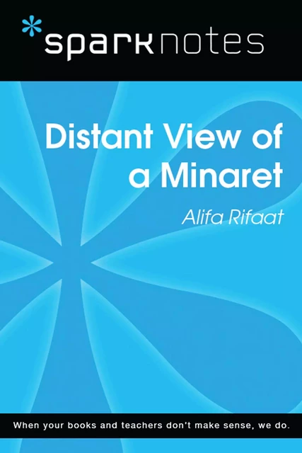 Distant View of a Minaret (SparkNotes Literature Guide) -  SparkNotes - Spark