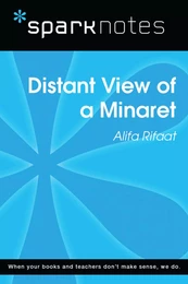 Distant View of a Minaret (SparkNotes Literature Guide)