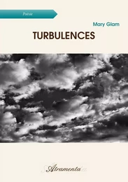 Turbulences