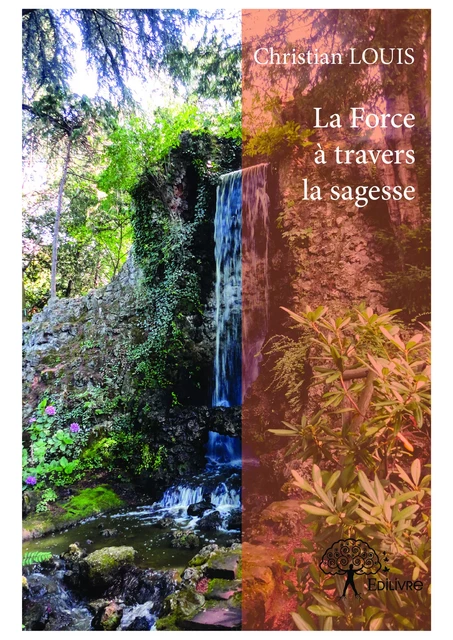 La Force à travers la sagesse - Christian Louis - Editions Edilivre