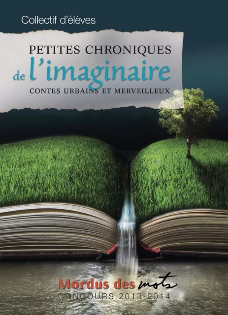 Petites chroniques de l’imaginaire -  Collectif d’élèves - Éditions David