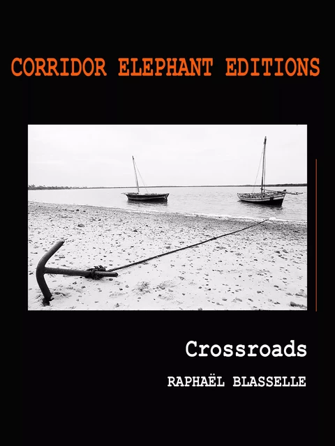 Crossroads - Raphaël Blasselle - Corridor Elephant