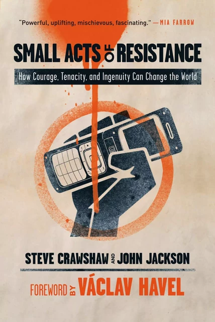 Small Acts of Resistance - Steve Crawshaw, John Jackson - Union Square Press