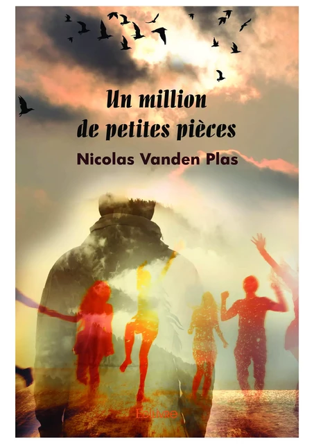 Un million de petites pièces - Nicolas Vanden Plas - Editions Edilivre