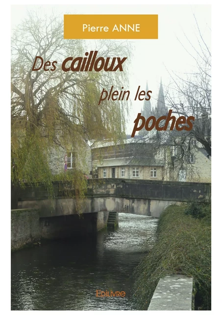 Des cailloux plein les poches - Pierre Anne - Editions Edilivre