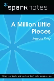 A Million Little Pieces (SparkNotes Literature Guide)