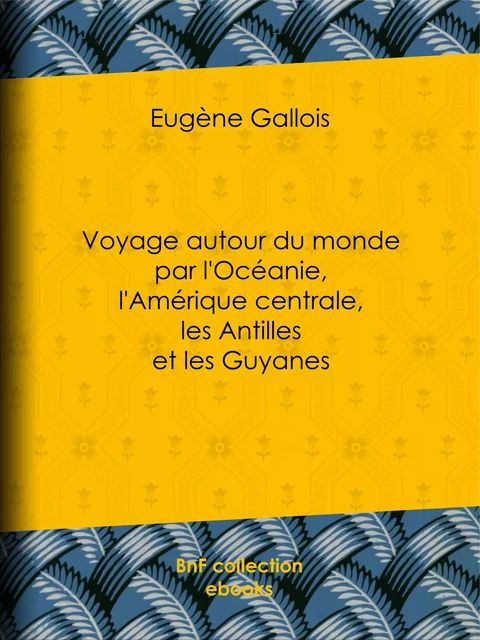 Voyage autour du monde par l'Océanie, l'Amérique centrale, les Antilles et les Guyanes - Eugène Gallois - BnF collection ebooks