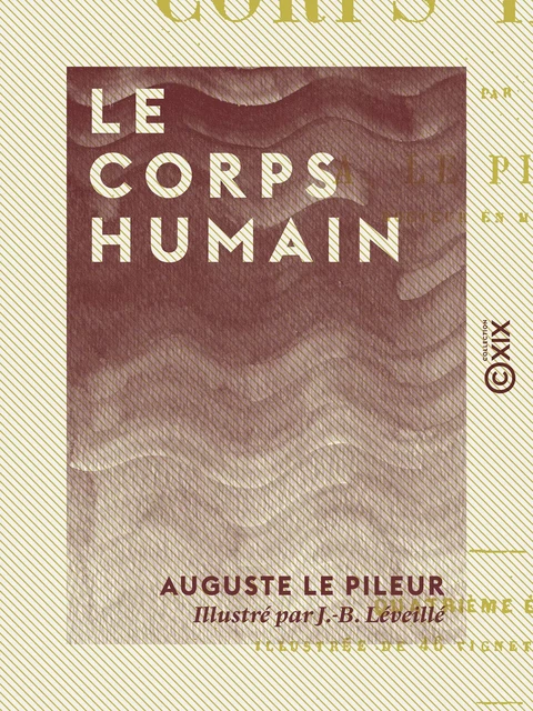 Le Corps humain - Auguste le Pileur - Collection XIX