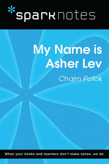 My Name is Asher Lev (SparkNotes Literature Guide) -  SparkNotes - Spark