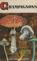 Champignons