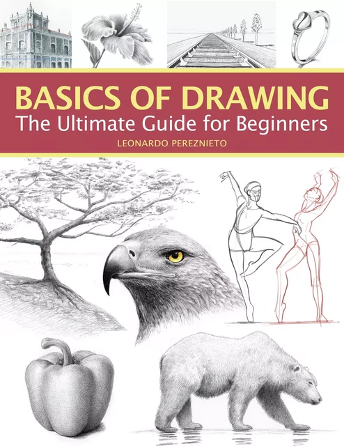 Basics of Drawing - Leonardo Pereznieto - Sixth&Spring