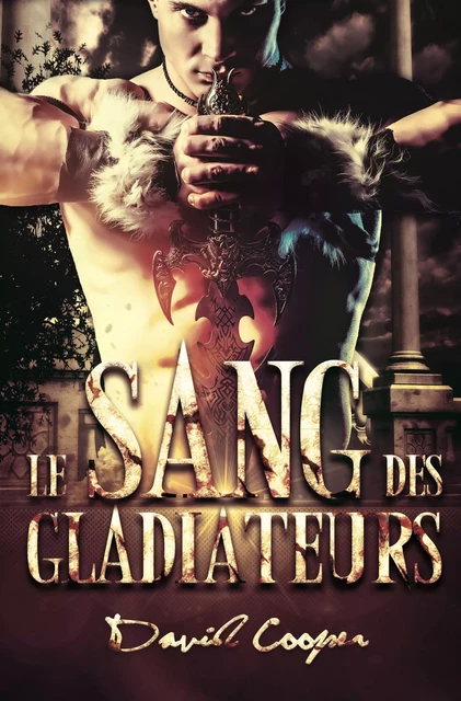 Le sang des Gladiateurs - Roman MM, livre gay - David Cooper,  Homoromance - STEDITIONS