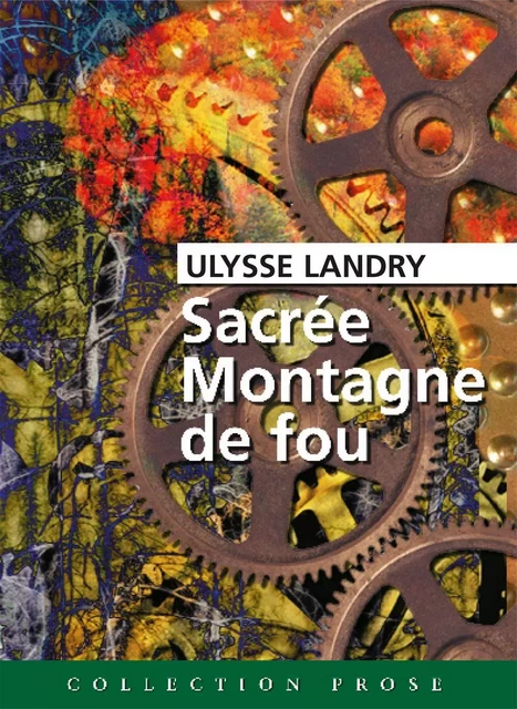 Sacrée Montagne de fou - Ulysse Landry - Éditions Perce-Neige