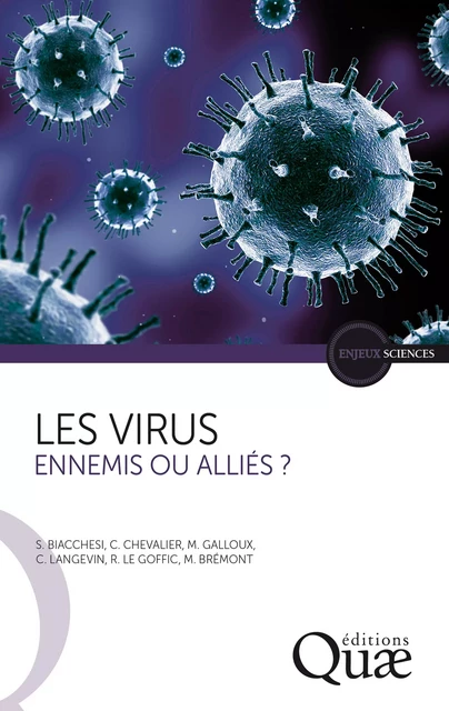 Les virus - Stéphane Biacchesi, Christophe Chevalier, Marie Galloux, Michel Brémont, Christelle Langevin, Ronan Le Goffic - Quae