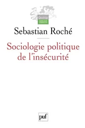 Sociologie politique de l'insécurité