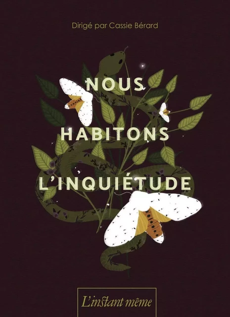 Nous habitons l'inquiétude - Cassie Bérard - Éditions de L'instant même