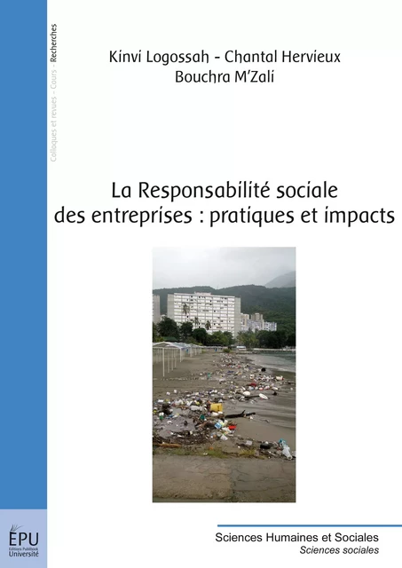 La Responsabilité sociale des entreprises : pratiques et impacts - Kinvi Logossah - Chantal Hervieux - Bouchra M’Zali - Publibook