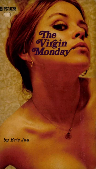 The Virgin Monday - Eric Jay - Disruptive Publishing