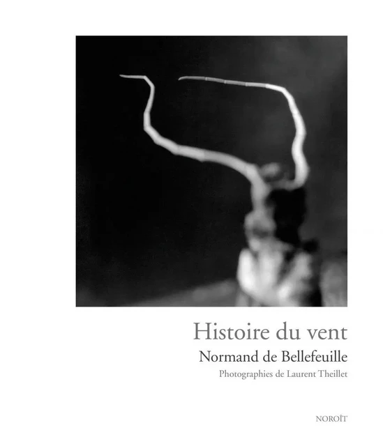 Histoire du vent - Normand de Bellefeuille - Éditions du Noroît