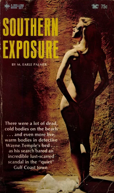 Southern Exposure - M. Earle Palmer - Disruptive Publishing