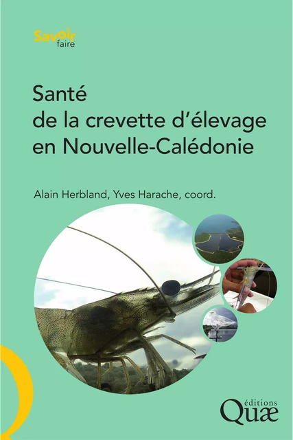 Santé de la crevette d'élevage en Nouvelle-Calédonie - Alain Herbland, Yves Harache - Quae