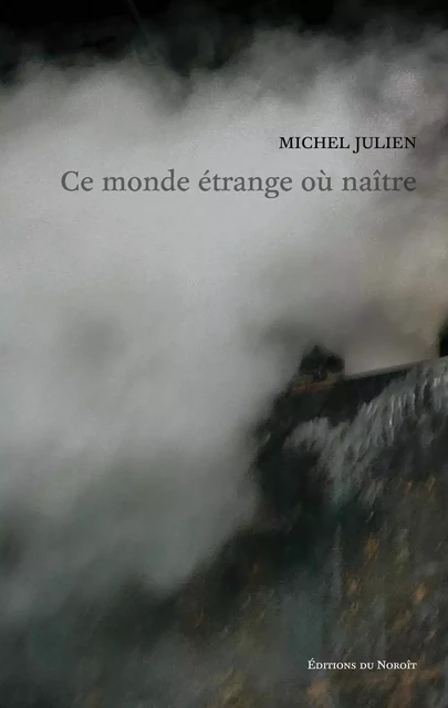 Ce monde étrange où naître - Michel Julien - Éditions du Noroît