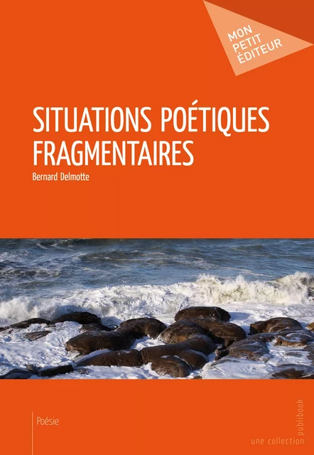 Situations poétiques fragmentaires - Bernard Delmotte - Mon Petit Editeur